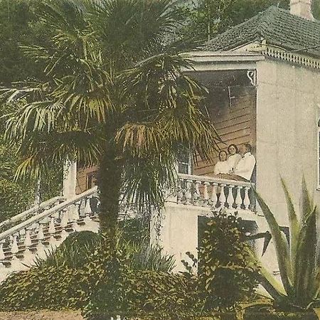 Villa House on Magnolii 1 à Batoumi Extérieur photo